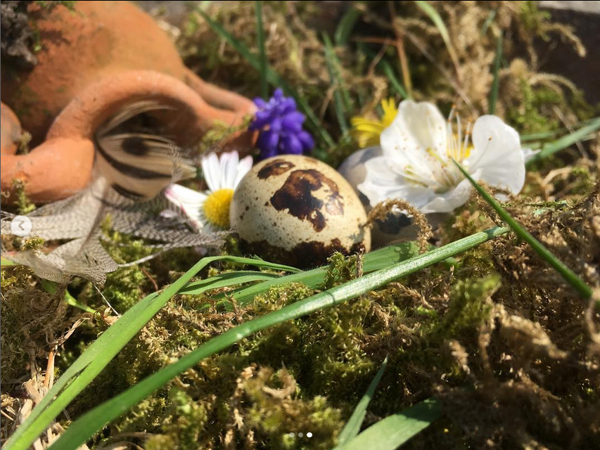 Pâques, œufs, fleurs, printemps @honorinegiroud